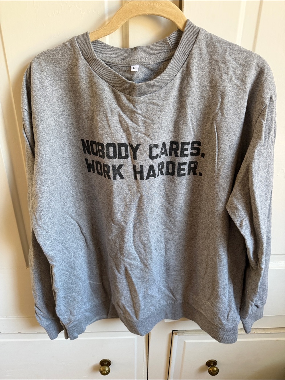 Men's Grey Crewneck Sweatshirt - 'Nobody Cares. Work Harder.'